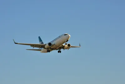 DSC_5658 (Large).JPG